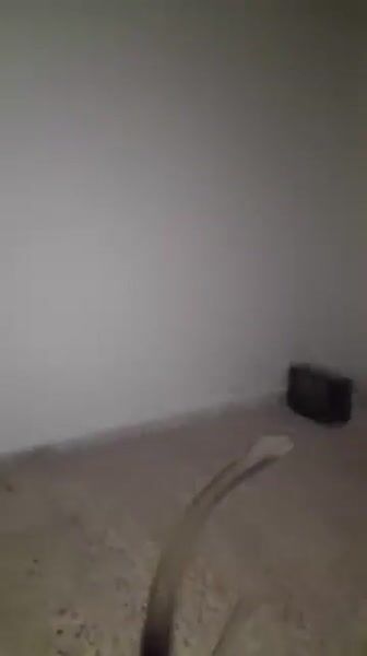 شقق