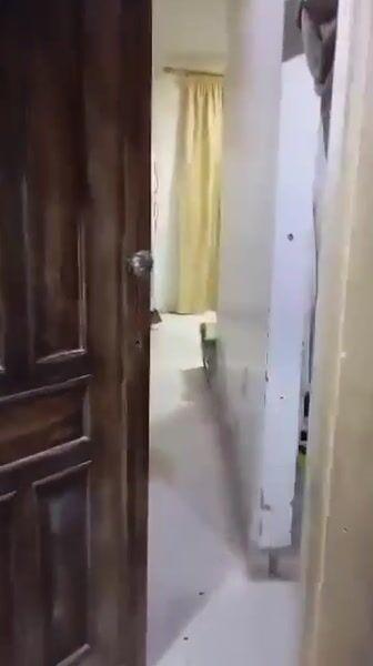 شقق