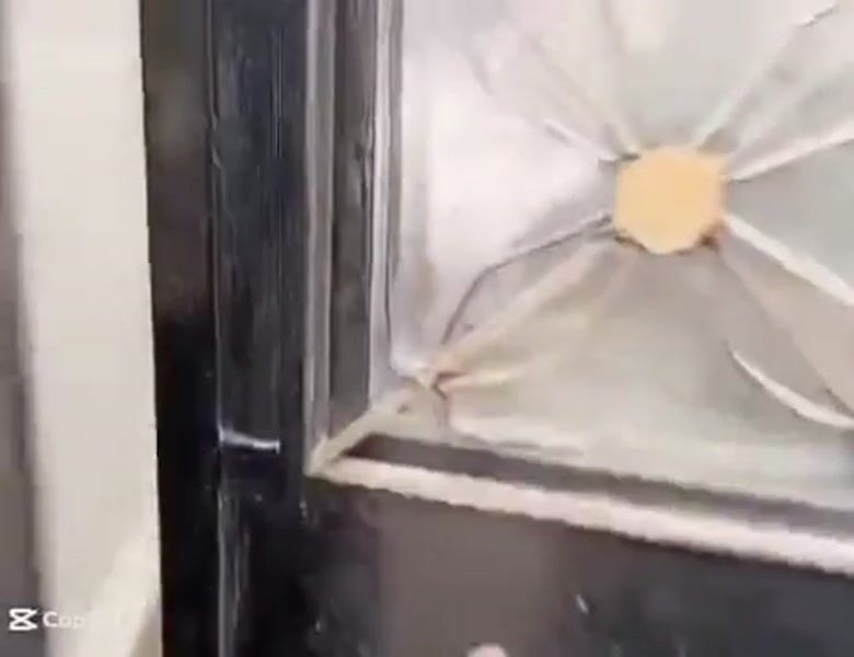 شقق