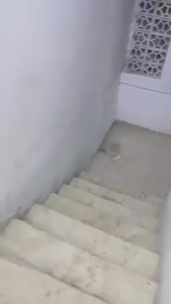 شقق
