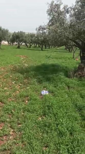 أراضي